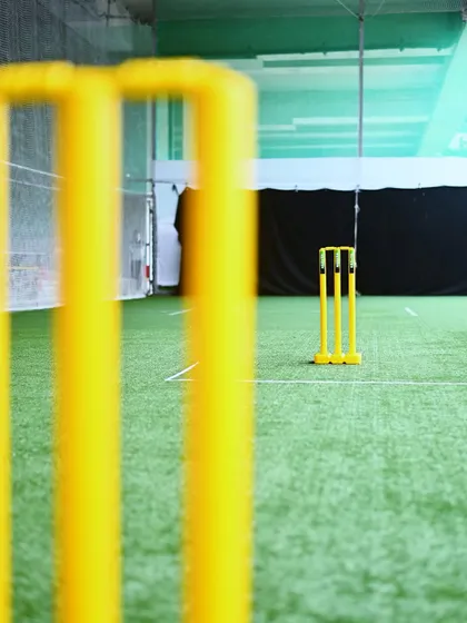 A close-up, focused shot of the bright yellow cricket wickets on the lush green turf. This highlights the professional quality of the equipment and playing surface I provide.
