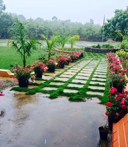 A view of the stud farm on a rainy day. The stone-and-grass pathway is designed to handle moisture while maintaining a natural aesthetic, lined with beautiful potted roses.