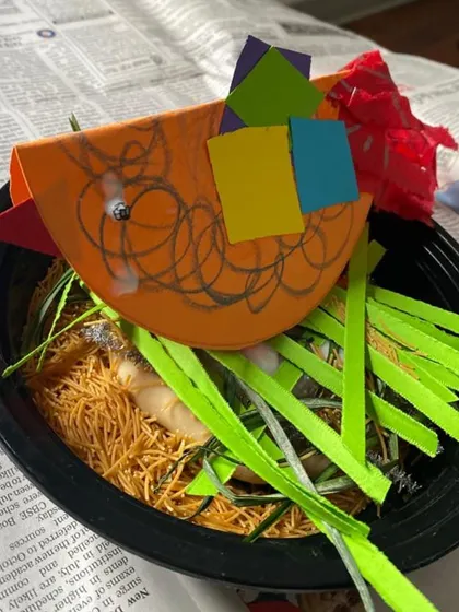 This collection showcases the wonderful variety of our process art and craft projects. Each image represents a different activity, complete with instructions and examples of the unique creations our children have made.