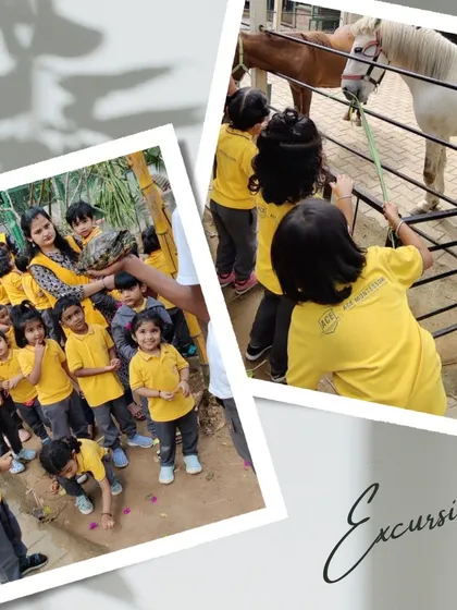 Our trip to the pet sanctuary involved meeting all kinds of animals, from horses to tortoises. Every encounter is a new learning opportunity.