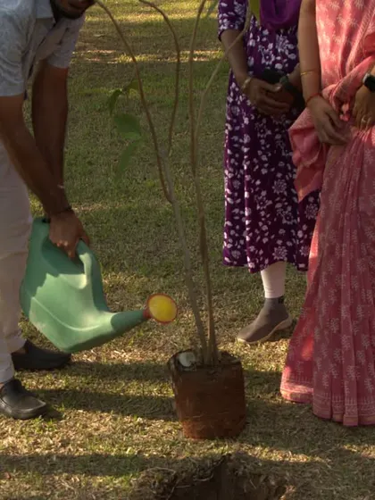 A close-up of the tree planting activity, showing the care and intention behind this symbolic gesture on World Earth Day.