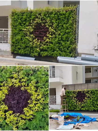 This collage shows the installation process and the final result of a patterned vertical garden, with a dark purple circle surrounded by lighter green plants.
