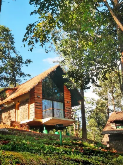 A log cabin-style cottage at Gorukana, surrounded by tall trees. The large glass windows and balcony offer beautiful views of the forest, blurring the line between indoors and outdoors.