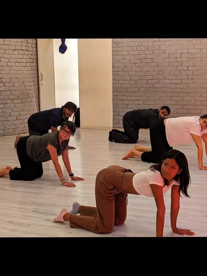 Working on foundational strength and alignment with an animal flow exercise in our beginner contemporary class.