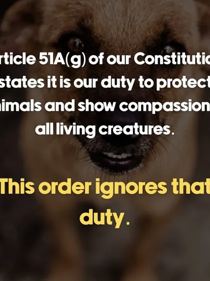 Our constitution asks us to show compassion to all living creatures. We use our platform to remind people of this fundamental duty, especially when laws or orders seem to ignore it.