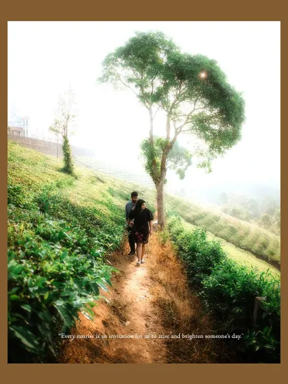 A couple walks down a path in a misty tea garden, creating a dreamy and romantic atmosphere.