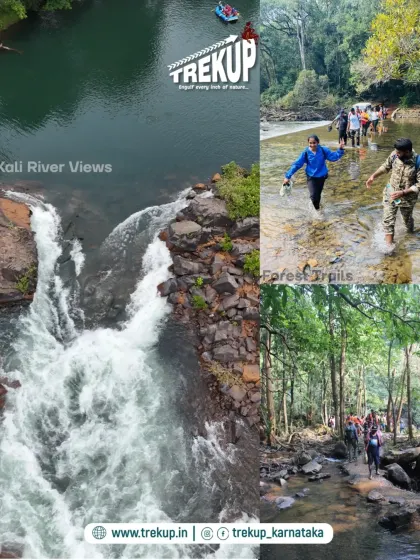 A collage showcasing the diverse experiences in Dandeli, from the views of the Kali River to trekking through streams and forest paths.