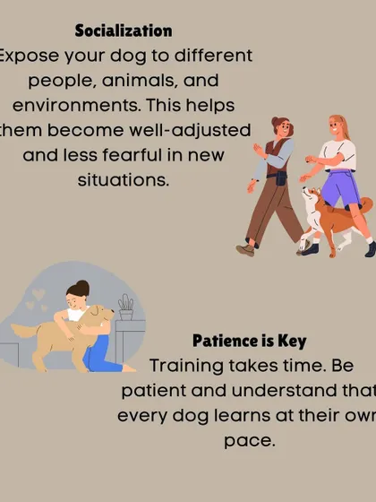A well adjusted dog is a happy dog. We emphasize the importance of socialization by exposing your pet to different people and environments, and we always remind pet parents that patience is key.