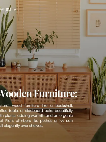 Natural wood furniture, like this sideboard, pairs beautifully with plants. The warmth of the wood creates an organic feel, and trailing plants like pothos can be elegantly draped over the shelves.
