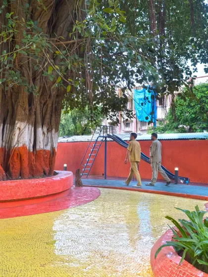 The pathways and planters at VDP Garden are designed around existing mature trees, demonstrating our commitment to retaining the original vegetation and character of the space.