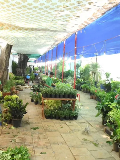 A wide view of one of our festival aisles at Kala Ghoda, bustling with activity as our team sets up a diverse range of plants for visitors to explore.
