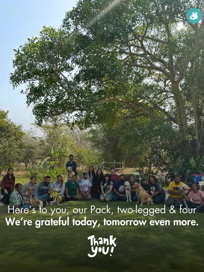 Here's to you, our Pack, two-legged and four. A group photo expressing our gratitude for our incredible community.