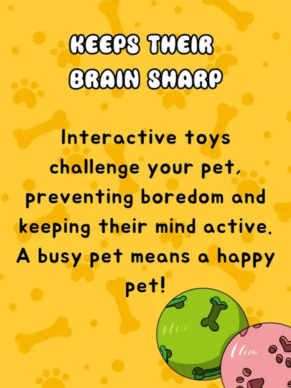 Interactive toys are like a workout for your pet's brain. They prevent boredom by presenting a challenge, which keeps their mind active and sharp. A mentally stimulated pet is a happy and well-behaved pet.