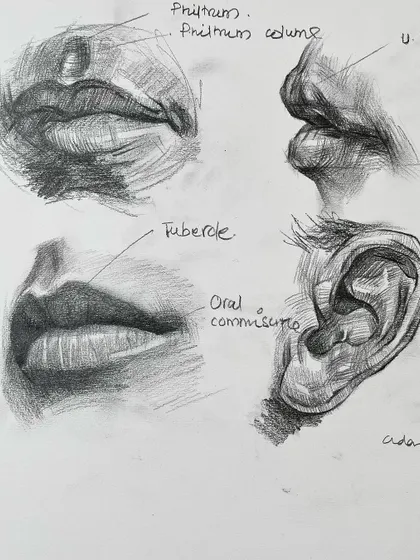 From my sketchbook, these are graphite studies of lips and an ear. Practicing individual features is key to building the confidence to tackle a full portrait.