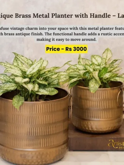 This antique brass metal planter with a handle has a lovely vintage charm. The functional handle adds a rustic accent and makes it easy to move around.