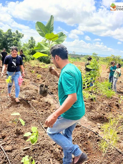 These images showcase individual employees from EXL, Marsh, Amdocs, Telus, HCL, and Northern Trust deeply engaged in the act of planting. Each photo captures a personal moment of connection with nature, showing the focus and care that our corporate volunteers bring to these drives.