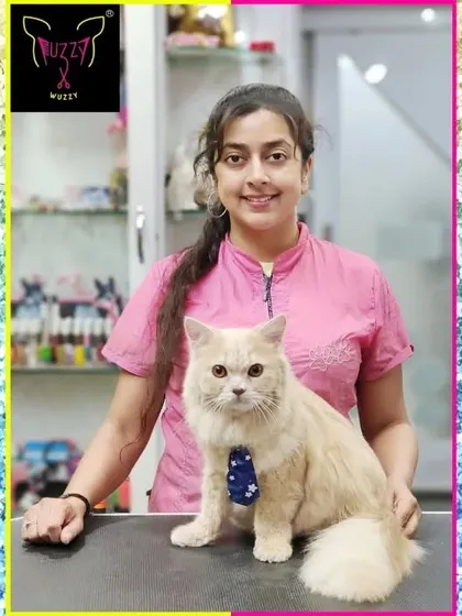 Leo the Persian cat is looking very dapper with his blue tie. He's a handsome boy who is calm and cooperative during his grooming.