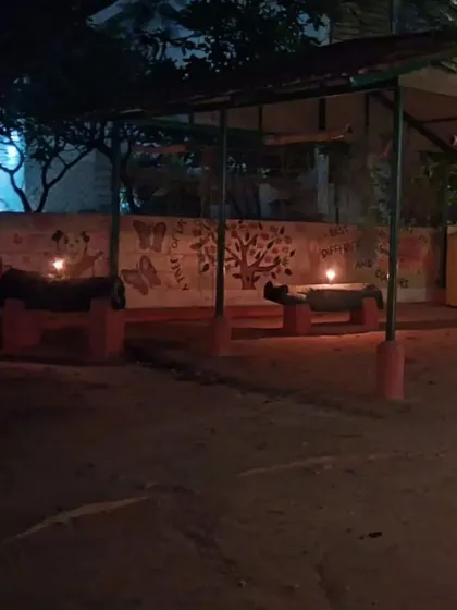 Our facility lit up for Diwali. We create a calm and festive atmosphere with pet-safe lights, ensuring the holidays are joyful, not stressful.