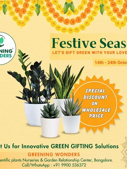 Our festive season offer for Dasara, with special discounts on wholesale prices for our green gifting solutions.