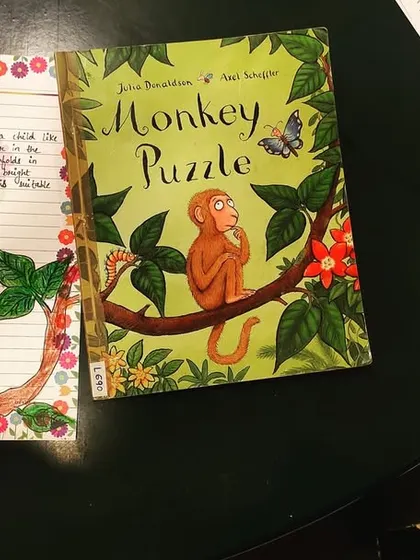 A beautiful book review for "Monkey Puzzle" by Julia Donaldson. We encourage children to illustrate their reviews to connect with the story visually.