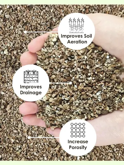 Organic exfoliated vermiculite is a fantastic soil additive. It improves soil aeration, drainage, and porosity, creating the ideal environment for healthy root development.