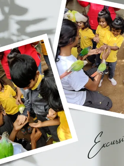 The children were delighted when the small parrots landed on their hands and arms. It was a magical moment of connection with nature.
