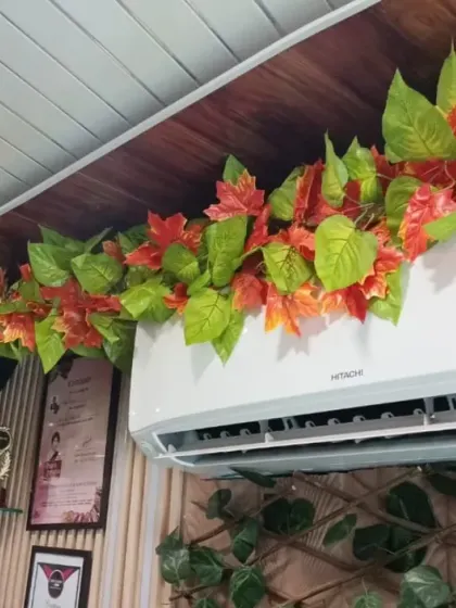 A clever and creative way to hide unsightly air conditioner wires. I used artificial autumn-colored vines to turn them into a decorative feature.