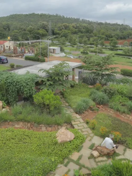 The landscape design for the "Breathe" project takes advantage of the natural terrain to hold water and support native plants. This approach creates diverse habitats, making the property an abode for birds and other species.