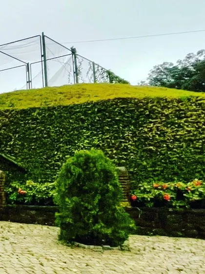 A detail of the stone-pitched earthen bund at the FINCH entrance. This technique, known as revetment, stabilizes the slope while creating pockets for landscaping, allowing the structure to become a living part of the hill.