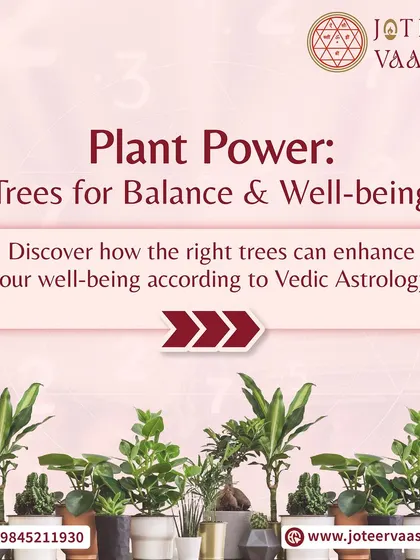 Plant power is real. This series explores how the right trees and plants can enhance your well-being according to Vedic principles, helping you nurture growth and harmony in your surroundings.