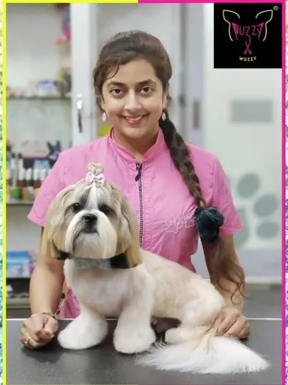 Looking sassy and sweet. This Shih Tzu's grooming session included a full coat brush-out, a face trim to keep hair out of the eyes, and a stylish top knot.