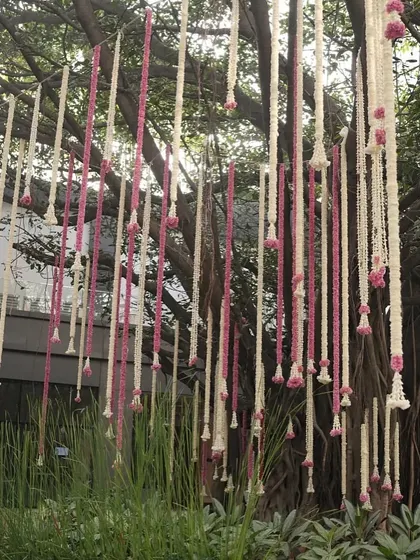 Delicate strings of jasmine and pink flowers hang from a tree, creating a simple yet beautiful natural decoration.