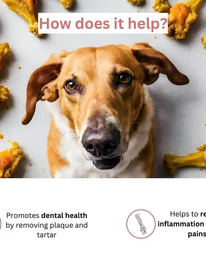 How do my Mobility Bones help? They act as a natural toothbrush to promote dental health and contain ingredients that reduce inflammation and joint pains, making them a dual-action treat.