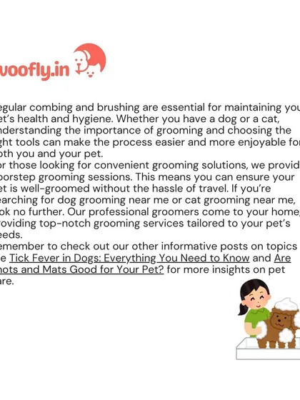 For your convenience, I provide professional doorstep grooming sessions tailored to your pet's needs, saving you the hassle of travel.