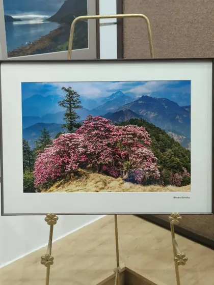 The vibrant colors of this mountain landscape photograph by Bhaskar Sitholey are perfectly contained and highlighted by the simple elegance of the frame.