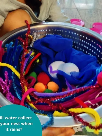 This collection showcases the wonderful variety of our process art and craft projects. Each image represents a different activity, complete with instructions and examples of the unique creations our children have made.