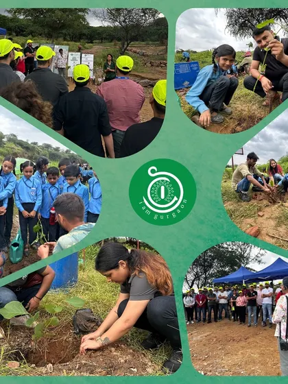This collage highlights the educational aspect of our drive with R1 RCM, showing students learning about native plants before getting their hands dirty.