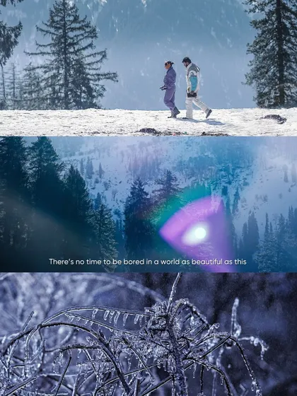 A collage of winter scenes from the Himalayas. The icy branches and snowy landscapes are paired with a quote about the beauty of the world, creating an inspiring and atmospheric piece.