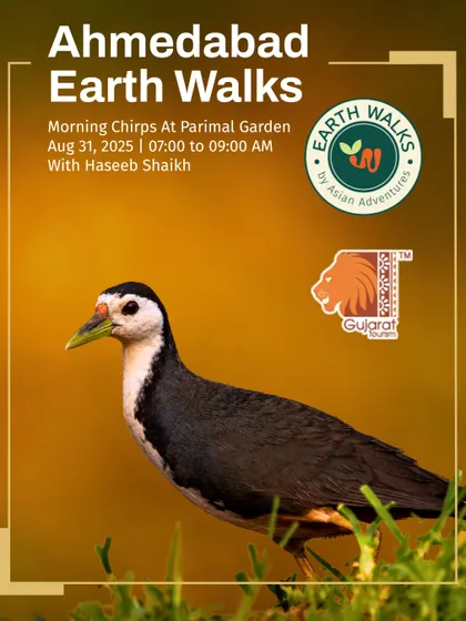A White-breasted Waterhen is featured on this poster for our bird walk at Parimal Garden, led by wildlife expert Haseeb Shaikh. These walks are designed to be accessible for beginners and families.
