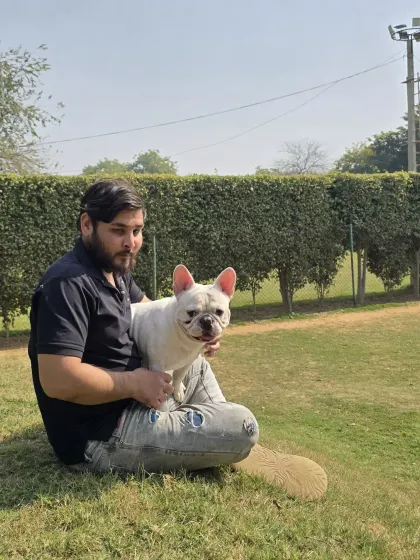 A member of our team taking a break with a friendly French Bulldog. These moments of one-on-one affection are a key part of our care philosophy.