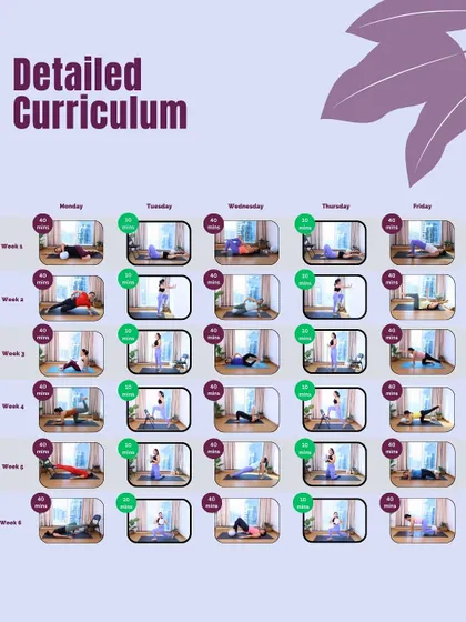 Here is the detailed curriculum for the 6-week program. You can see the progression from foundational movements in week 1 to more challenging workouts in week 6, ensuring a safe and effective journey.