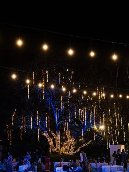 An outdoor reception setup illuminated by strings of fairy lights and dramatic lighting on the trees. We love using lighting to create a warm, magical ambiance for evening celebrations.