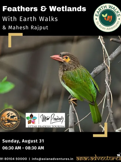 The Brown-headed Barbet, whose loud calls are a familiar sound in urban parks. This poster announces our "Feathers & Wetlands" walk at Okhla Bird Sanctuary, a prime location for spotting various barbet species.