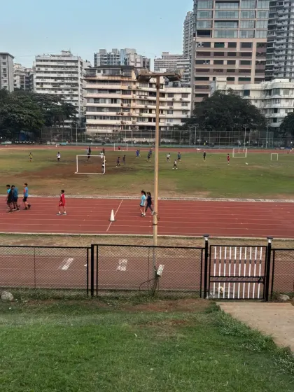 A view of the bustling track and field from a grassy knoll. This image shows how the park is a multi-use space for athletes and the general public alike.