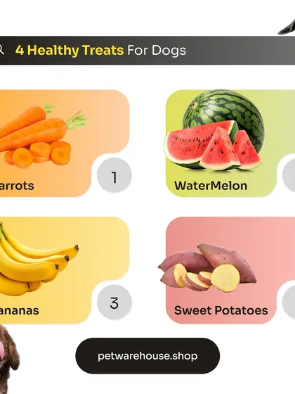 Our vet shared some of the healthiest and easiest treats you can give your dog. Carrots, watermelon, bananas, and sweet potatoes are all great, natural options.