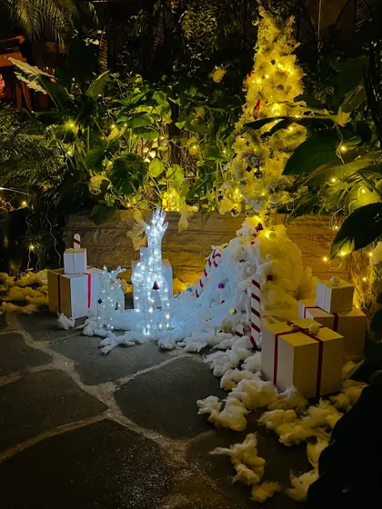 The Christmas scene at night, with the lights creating a warm and inviting glow against the dark greenery.