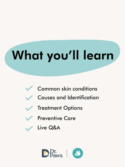 In our 'Skin Issues in Dogs' masterclass, you will learn to identify common skin conditions, understand their causes, and explore various treatment and preventive care options. This slide details the valuable knowledge you'll gain.