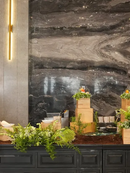 A rustic, nature-inspired food station with wooden blocks and fresh ferns. This setup is perfect for an organic or garden-themed event, showcasing how our culinary presentation can adapt to any style.