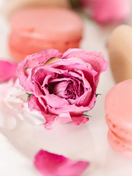 A macro shot of a dried rose among the macarons, focusing on the delicate texture and color.