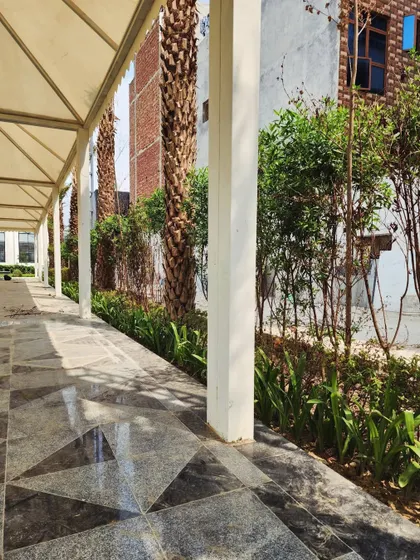 We designed this covered walkway at Yellow Tree with a border of tall Date Palms and low-lying shrubs, creating a grand and shaded entrance path.